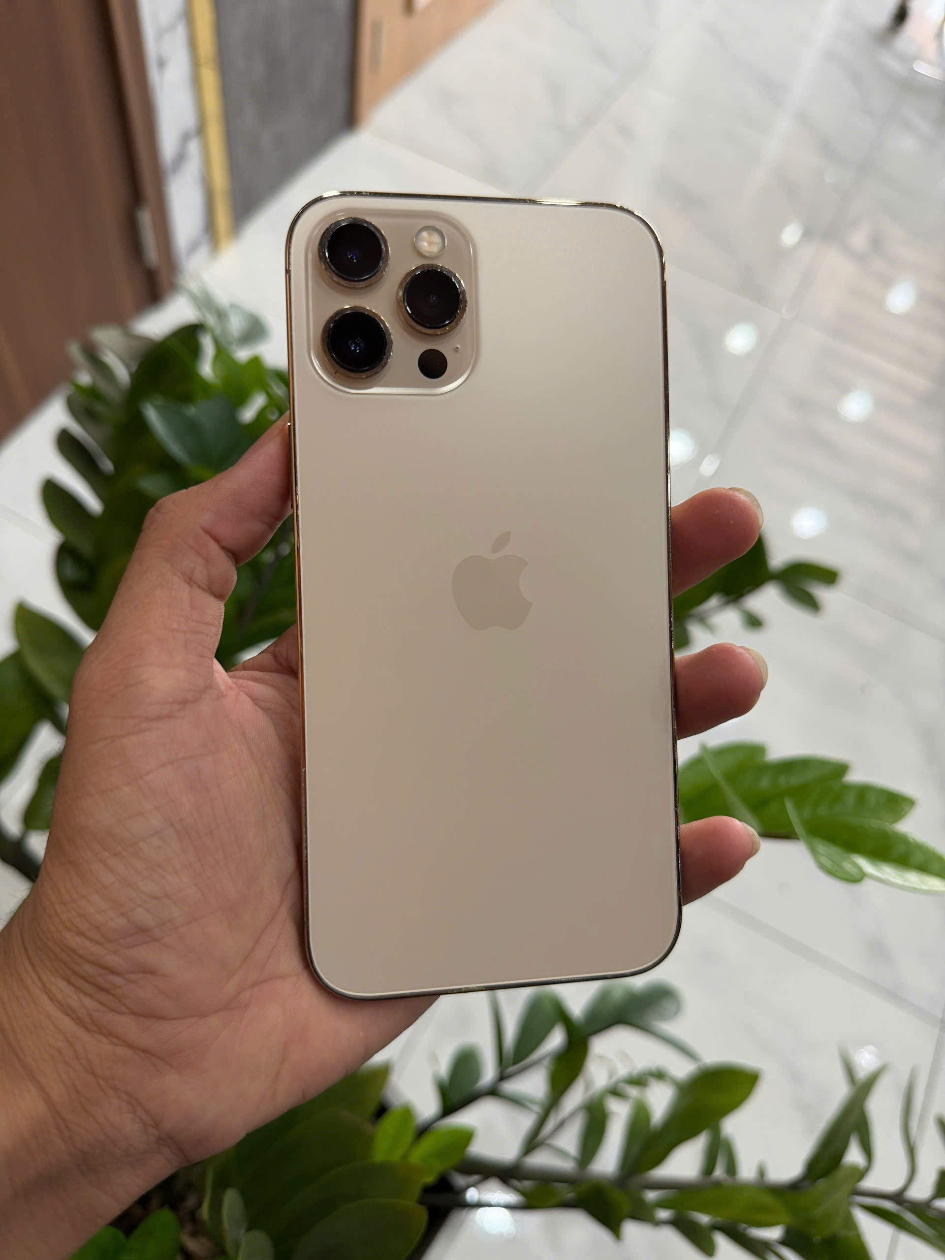 iPhone 12 Pro Max Quốc Tế 256GB, màn zin, main zin