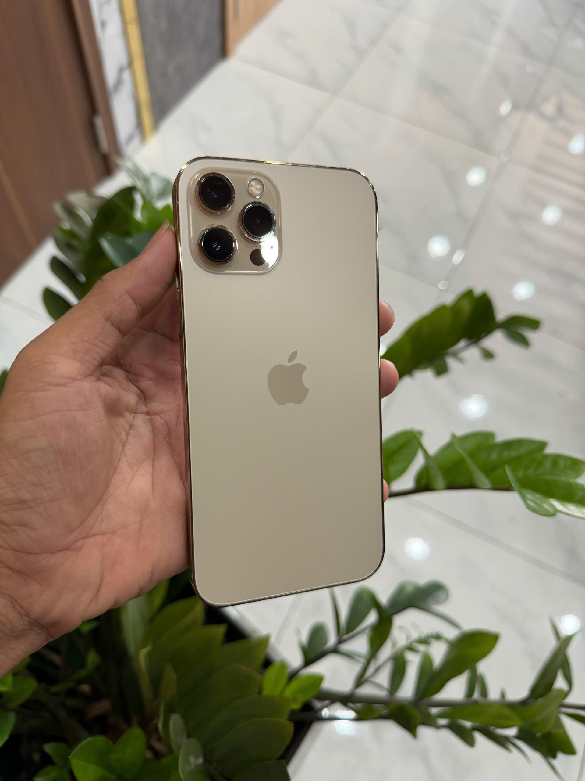 IPhone 12 Pro Max Quốc Tế 128GB