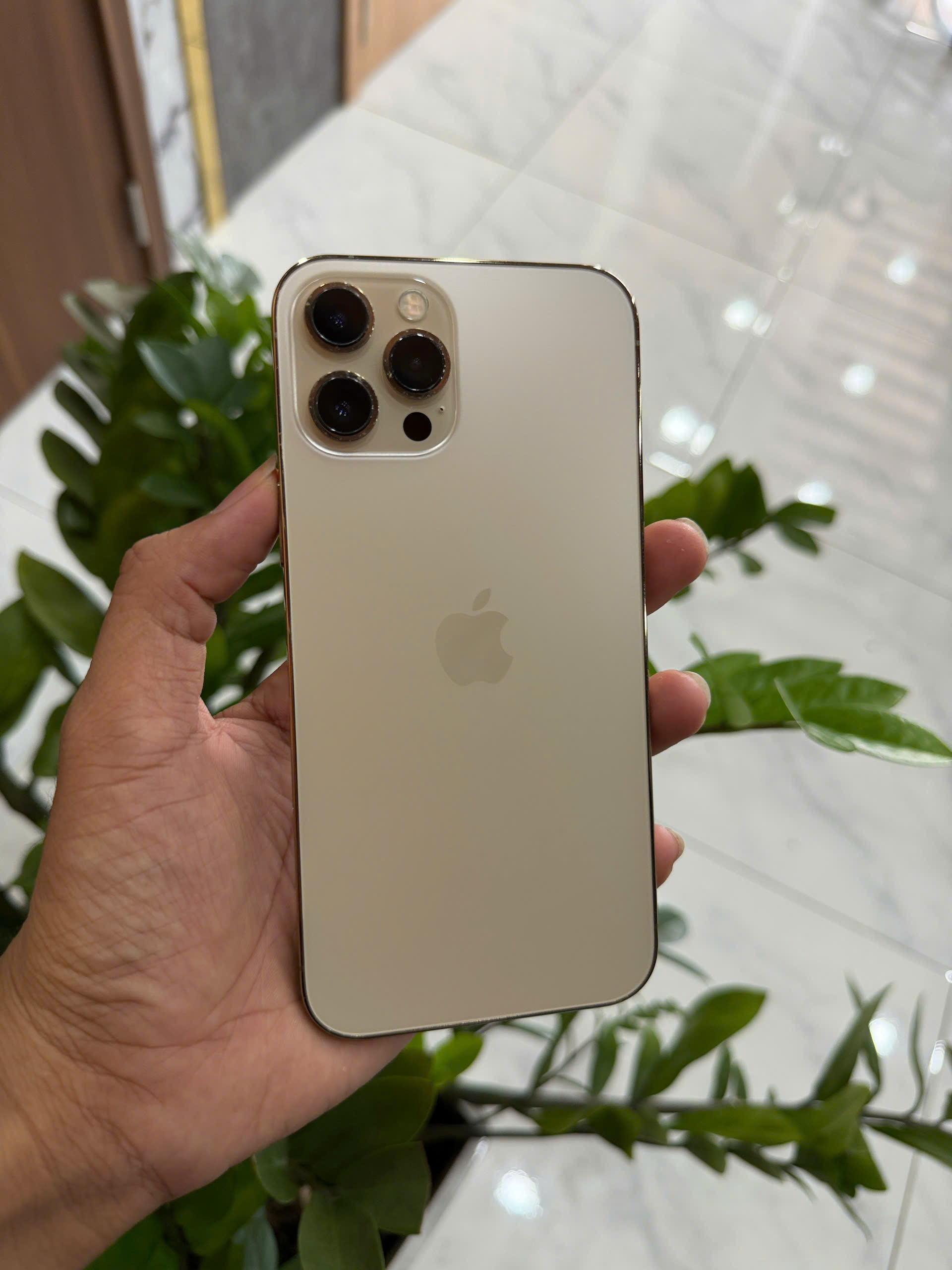 iPhone 12 Pro Max Quốc Tế 128GB,